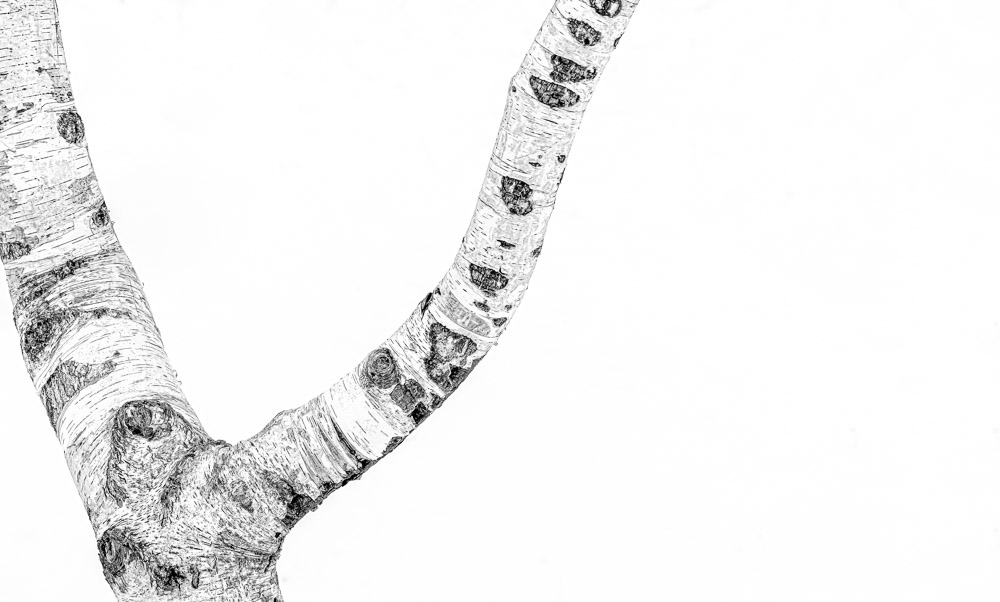 Platz 12 Conny Kleiner